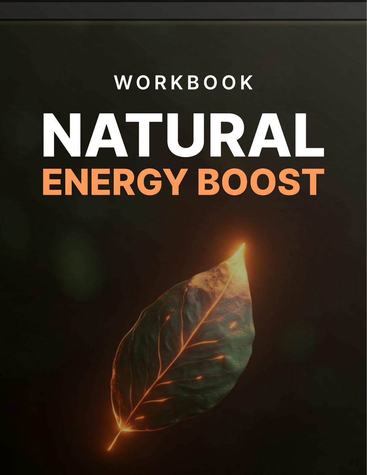 natural energy boost workbook cover Natural Energy Boost - Workbook cover