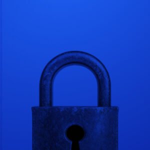 Critical Trust-Building Elements artwork